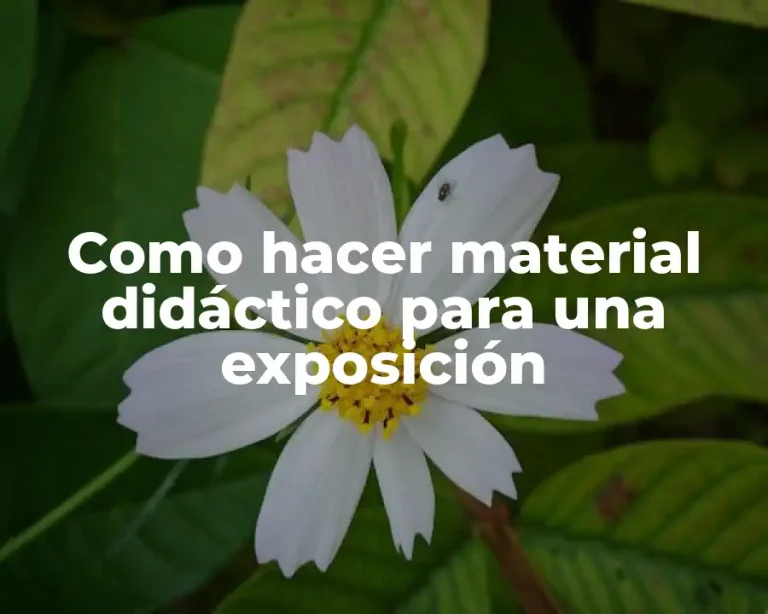 Como hacer material didáctico para una exposición