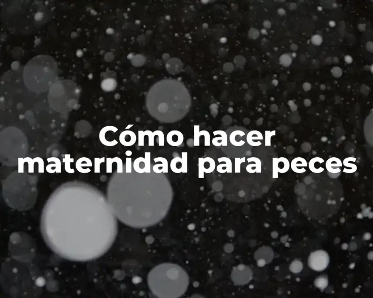 Cómo hacer maternidad para peces