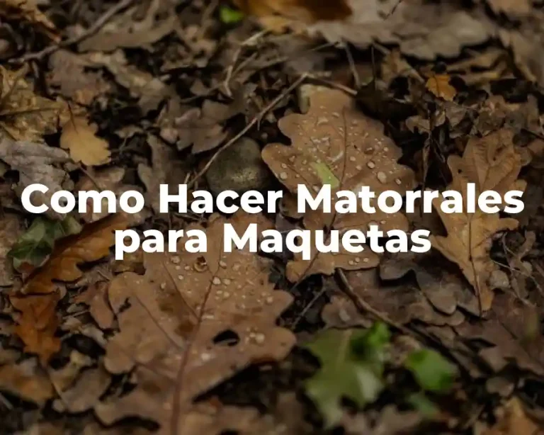 Como Hacer Matorrales para Maquetas