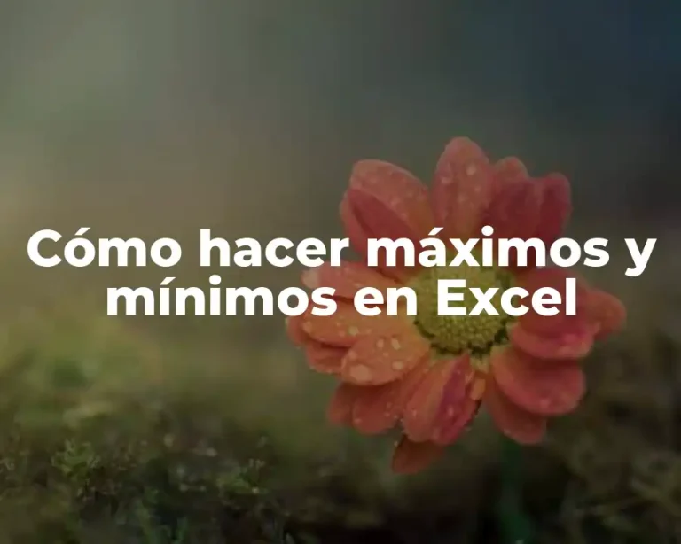 Cómo hacer máximos y mínimos en Excel