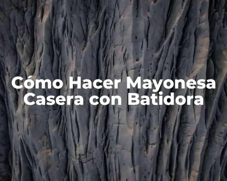 Cómo Hacer Mayonesa Casera con Batidora