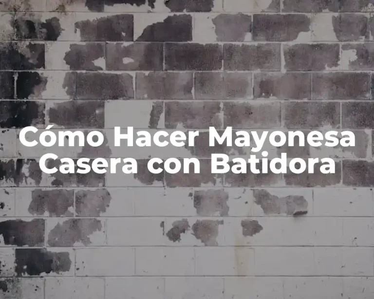 Cómo Hacer Mayonesa Casera con Batidora