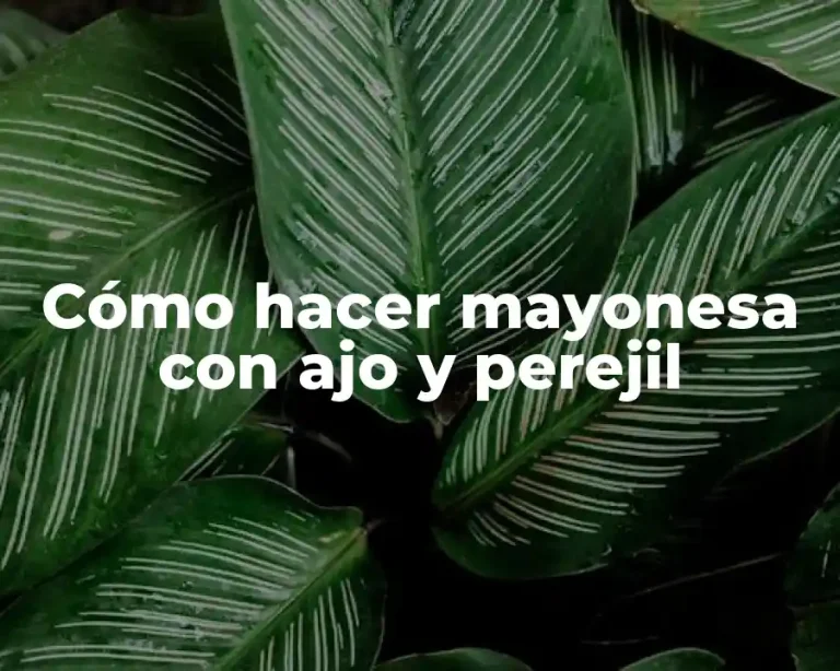 Cómo hacer mayonesa con ajo y perejil