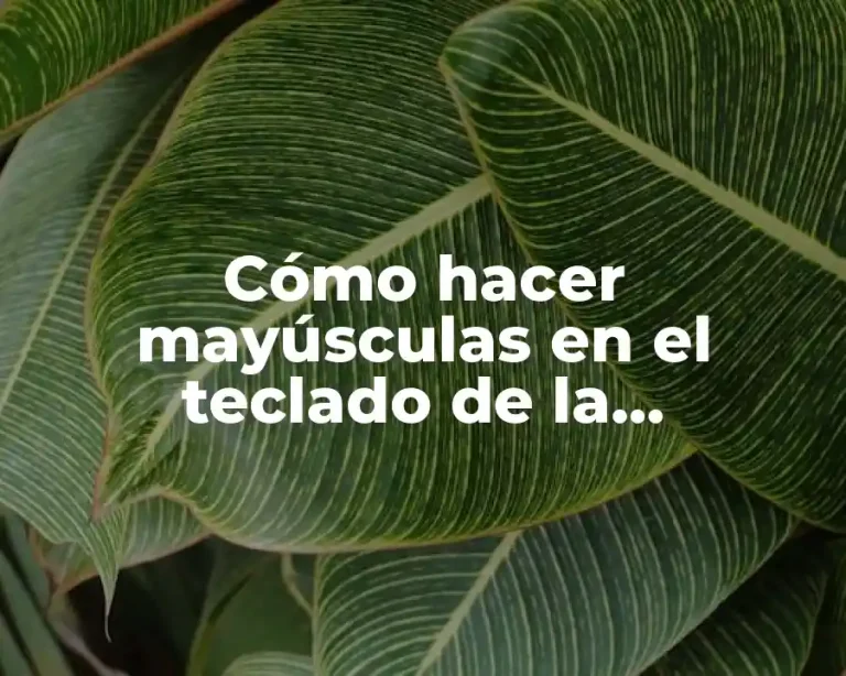 Cómo hacer mayúsculas en el teclado de la computadora