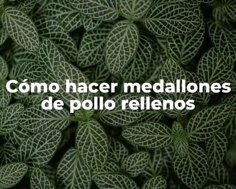 Cómo hacer medallones de pollo rellenos