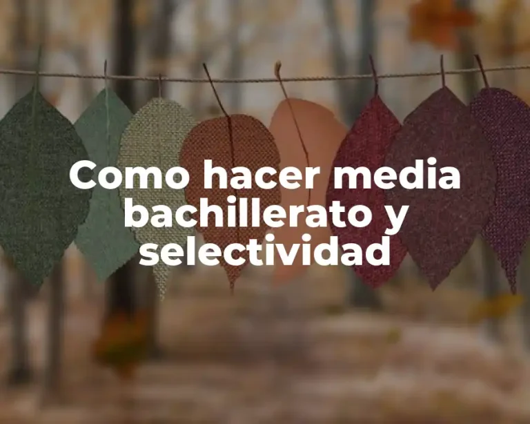 Como hacer media bachillerato y selectividad