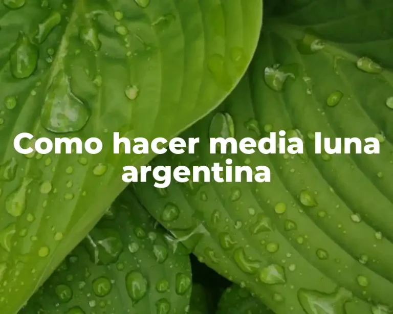 Como hacer media luna argentina
