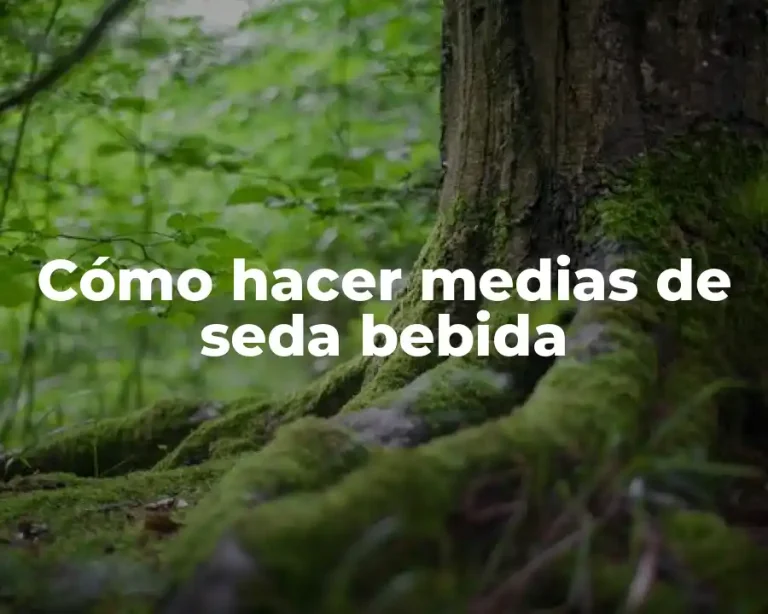 Cómo hacer medias de seda bebida