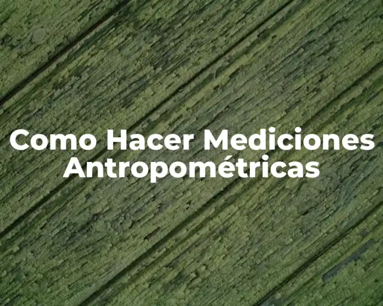 Como Hacer Mediciones Antropométricas