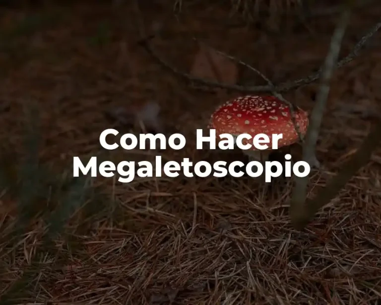Como Hacer Megaletoscopio