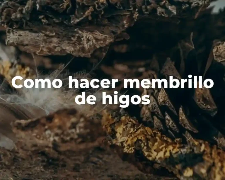 Como hacer membrillo de higos