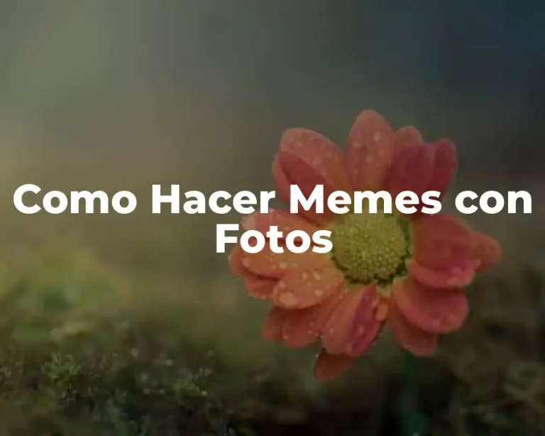 Como Hacer Memes con Fotos