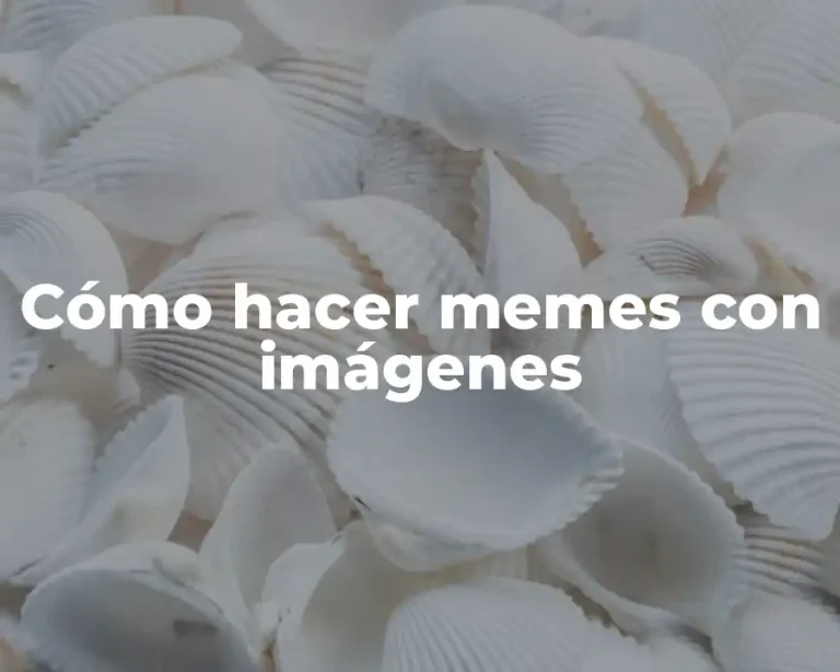 Cómo hacer memes con imágenes