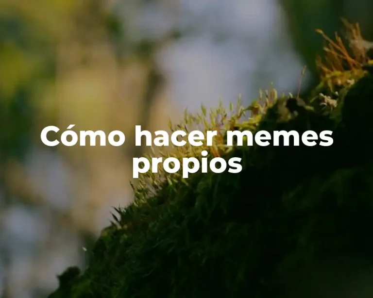 Cómo hacer memes propios