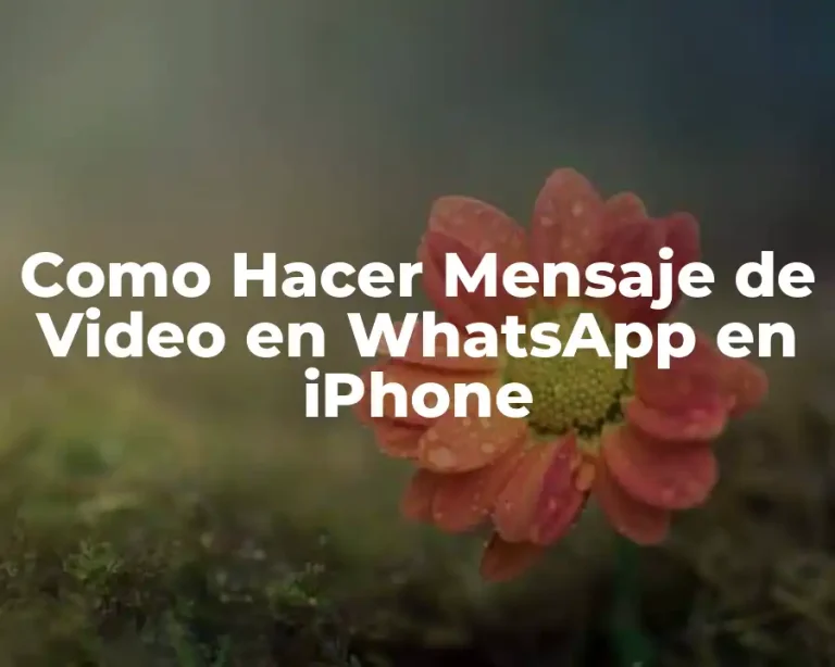 Como Hacer Mensaje de Video en WhatsApp en iPhone
