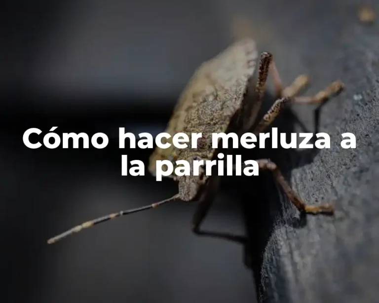 Cómo hacer merluza a la parrilla