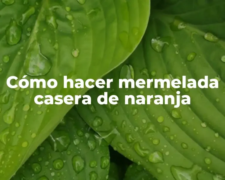 Cómo hacer mermelada casera de naranja