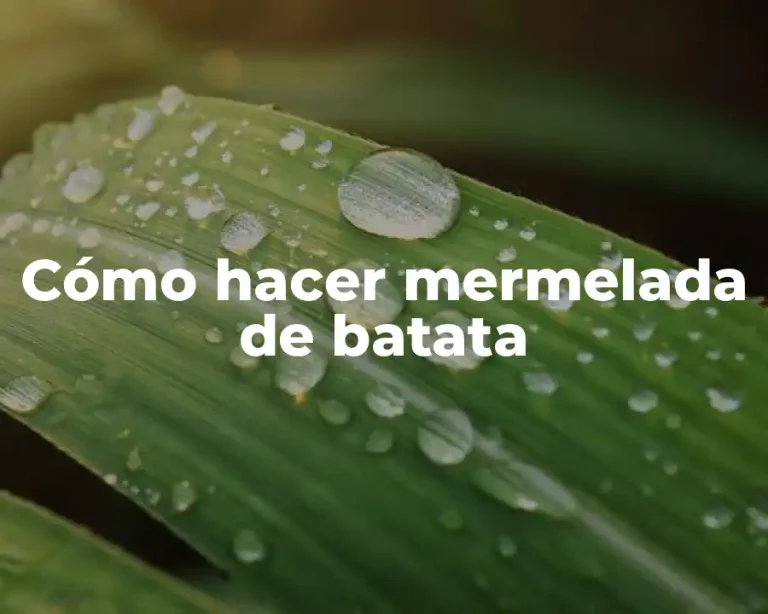 Cómo hacer mermelada de batata