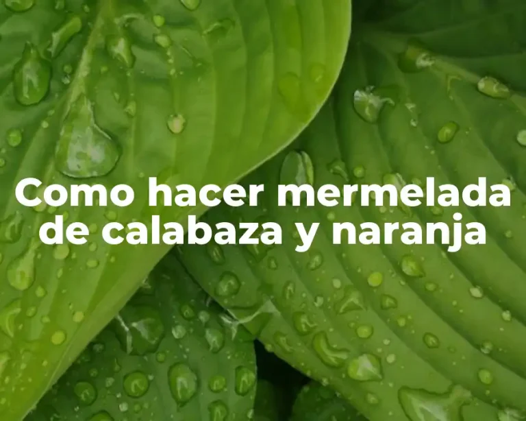 Como hacer mermelada de calabaza y naranja