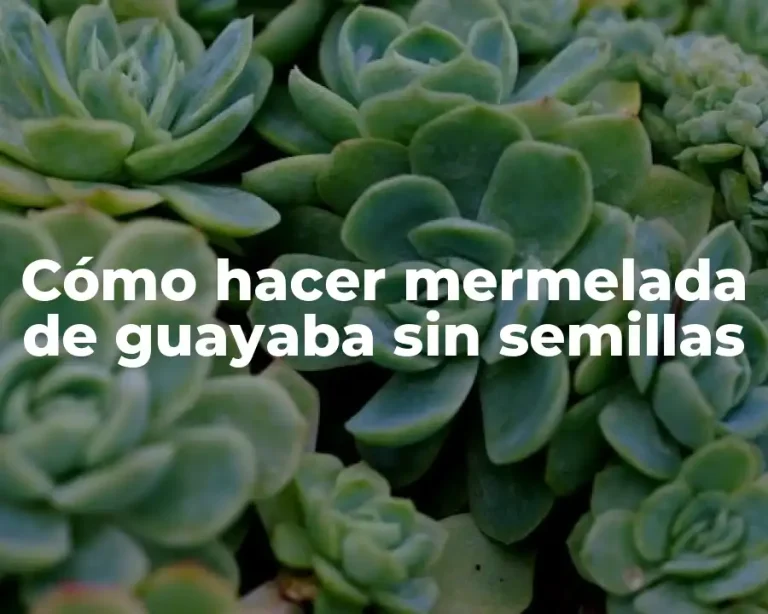 Cómo hacer mermelada de guayaba sin semillas