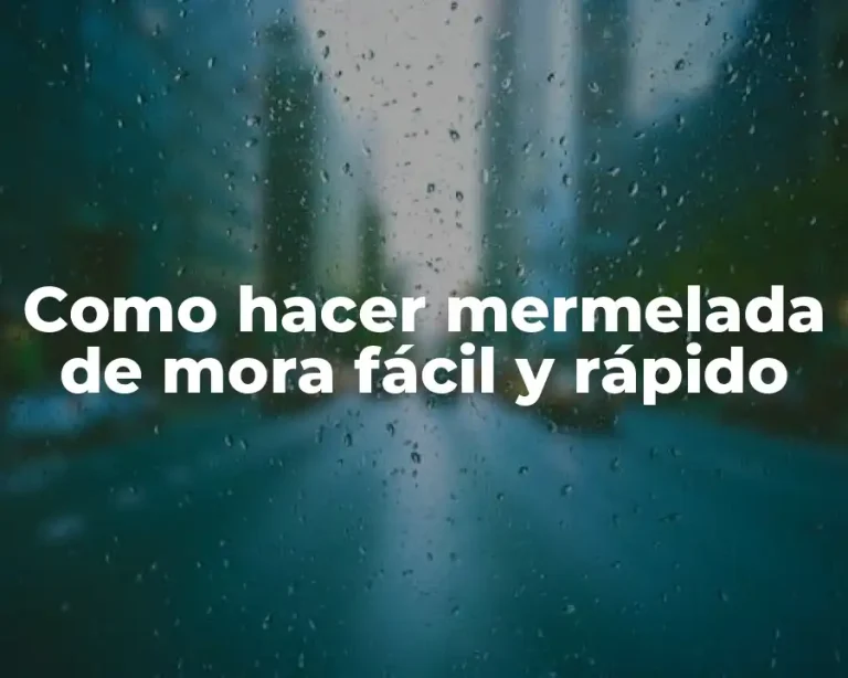 Como hacer mermelada de mora fácil y rápido