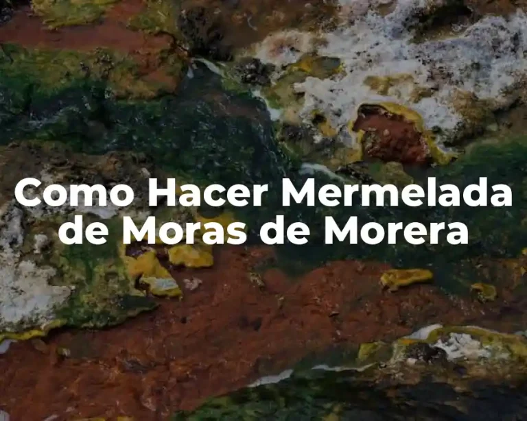 Como Hacer Mermelada de Moras de Morera