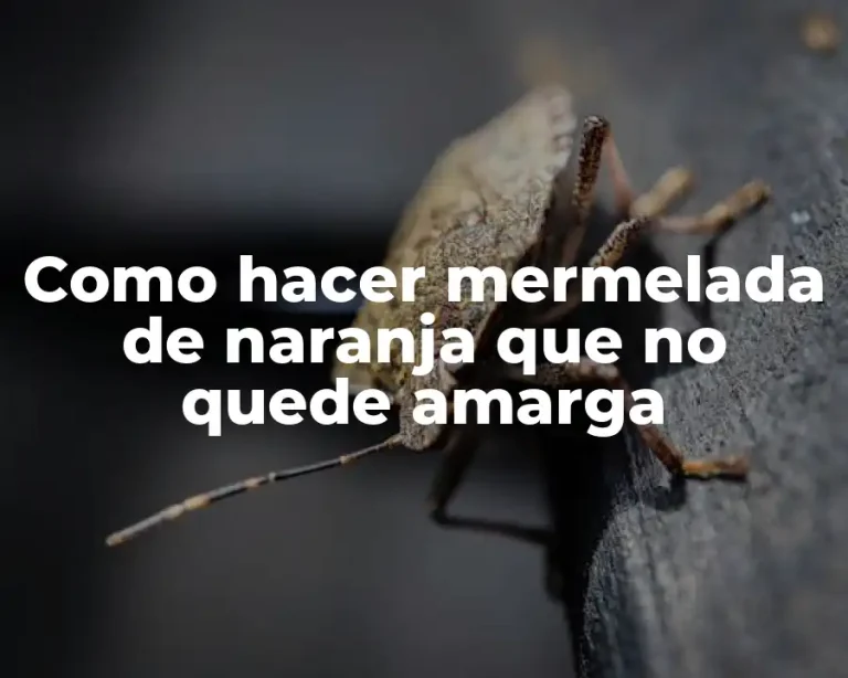 Como hacer mermelada de naranja que no quede amarga