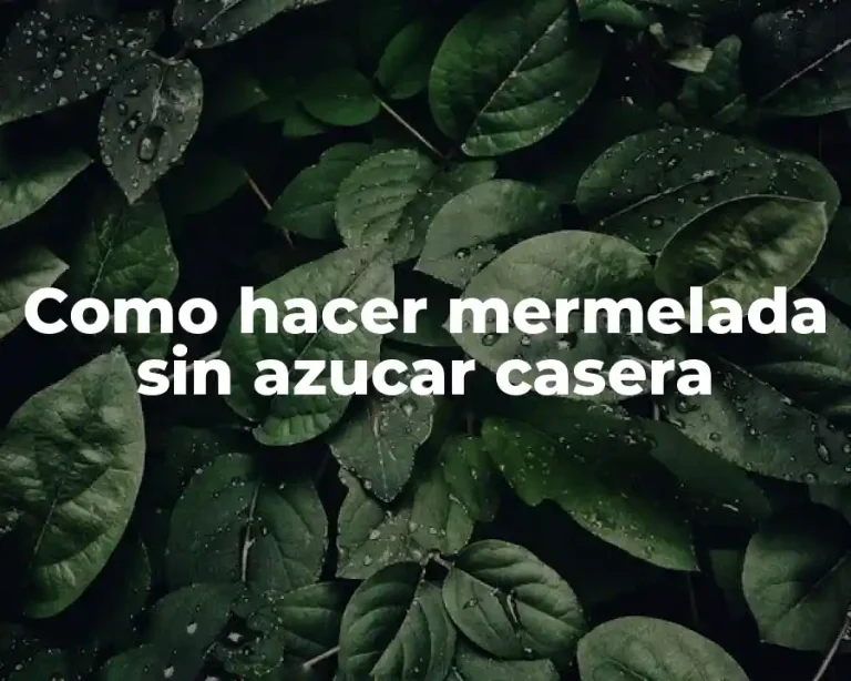 Como hacer mermelada sin azucar casera