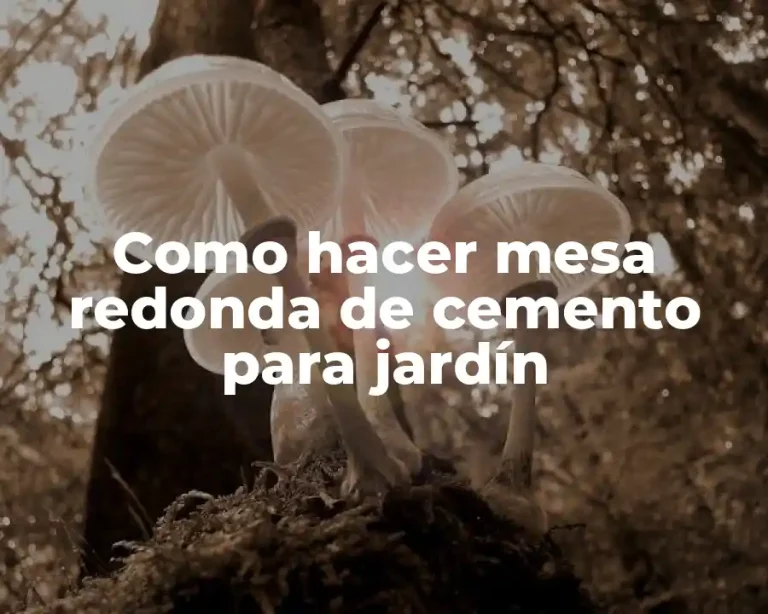 Como hacer mesa redonda de cemento para jardín