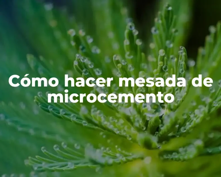 Cómo hacer mesada de microcemento