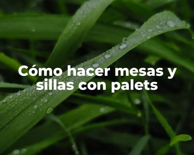 Cómo hacer mesas y sillas con palets