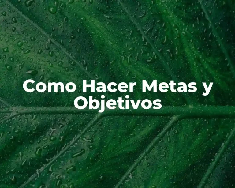 Como Hacer Metas y Objetivos