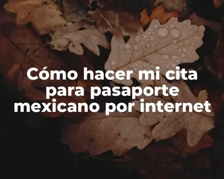 Cómo hacer mi cita para pasaporte mexicano por internet