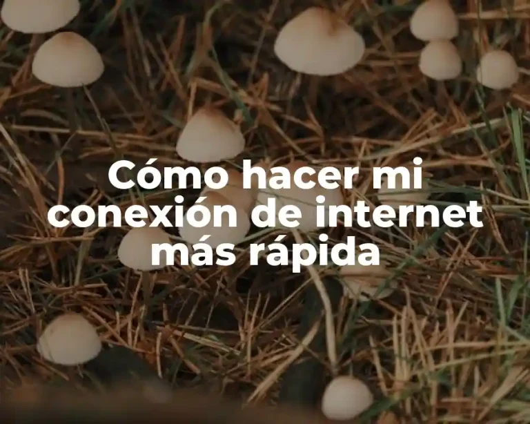 Cómo hacer mi conexión de internet más rápida