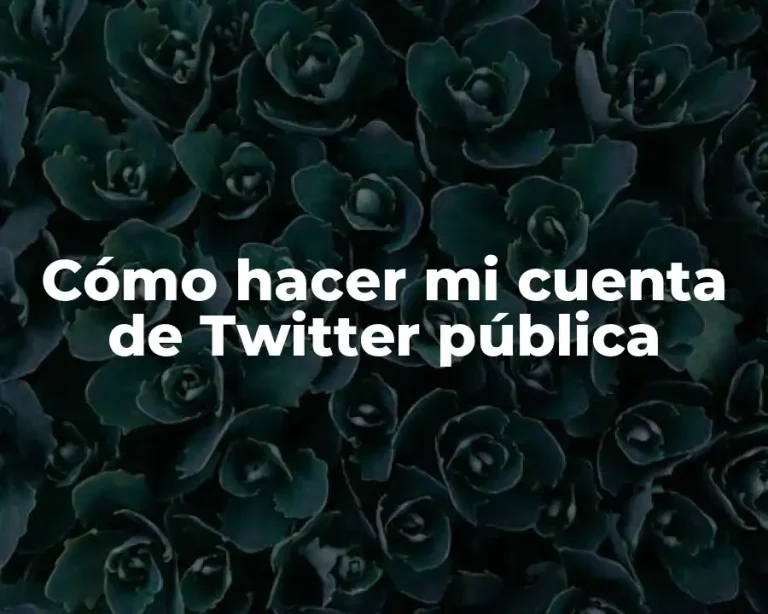 Cómo hacer mi cuenta de Twitter pública