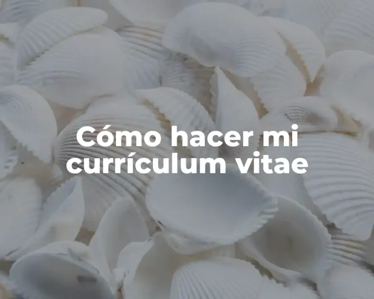 Cómo hacer mi currículum vitae