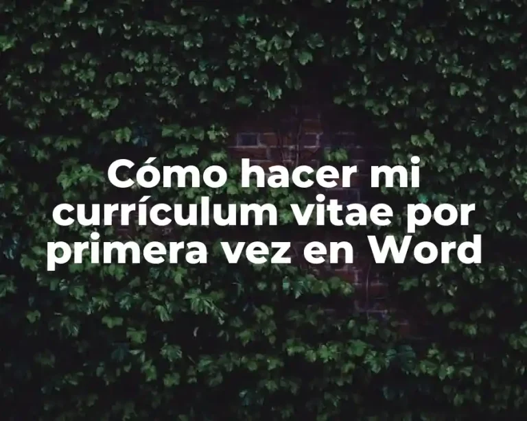 Cómo hacer mi currículum vitae por primera vez en Word