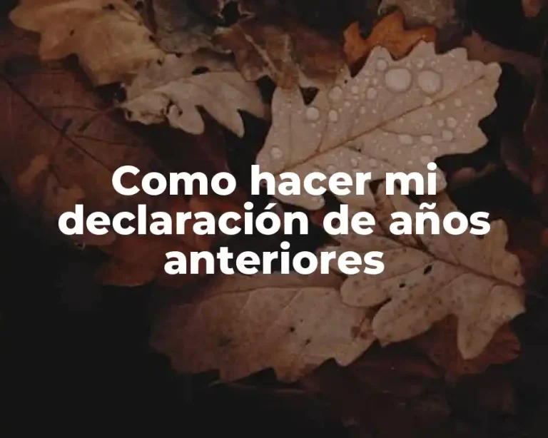 Como hacer mi declaración de años anteriores