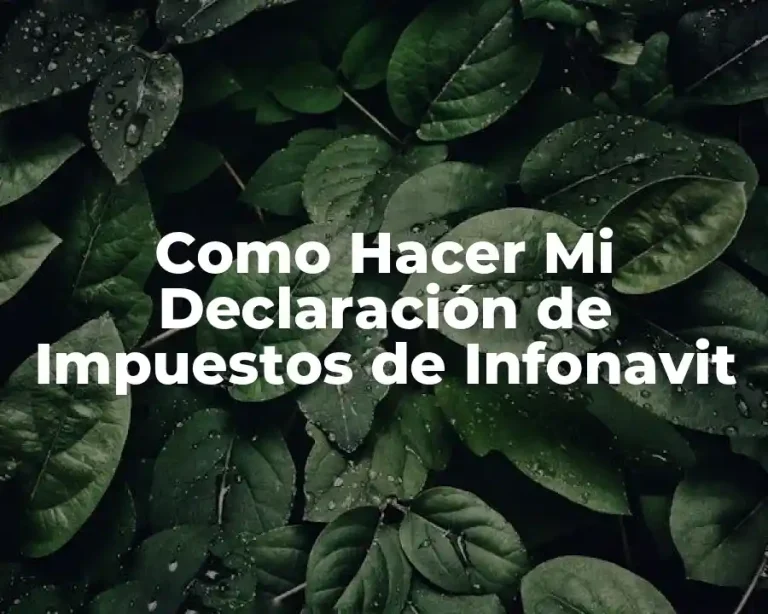 Como Hacer Mi Declaración de Impuestos de Infonavit