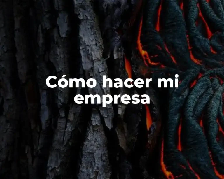 Cómo hacer mi empresa