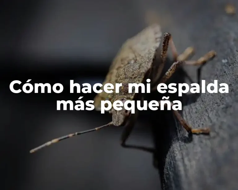 Cómo hacer mi espalda más pequeña