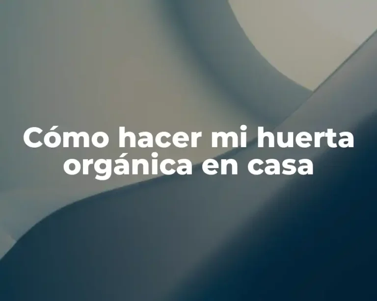 Cómo hacer mi huerta orgánica en casa