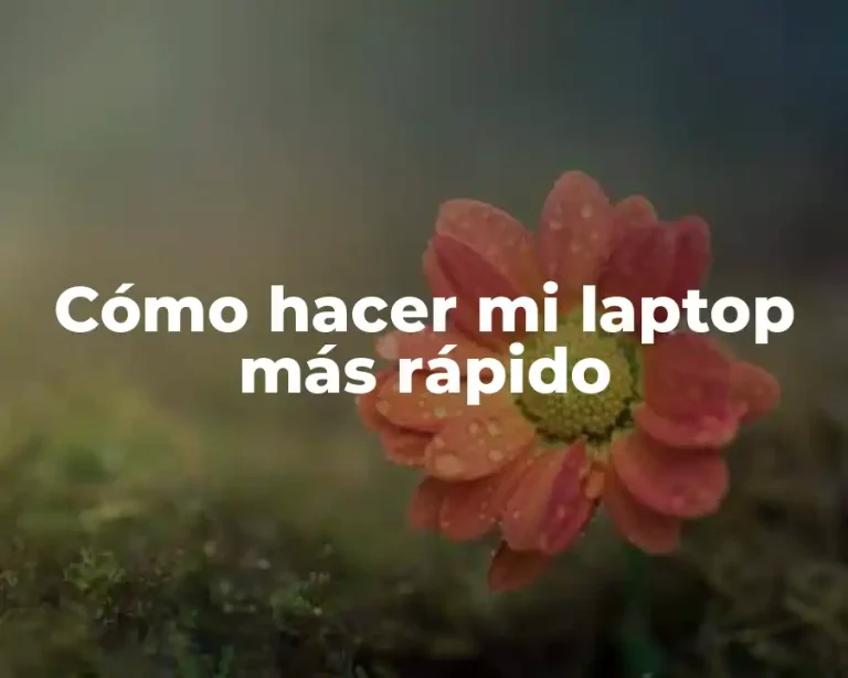 Cómo hacer mi laptop más rápido