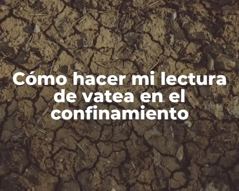Cómo hacer mi lectura de vatea en el confinamiento