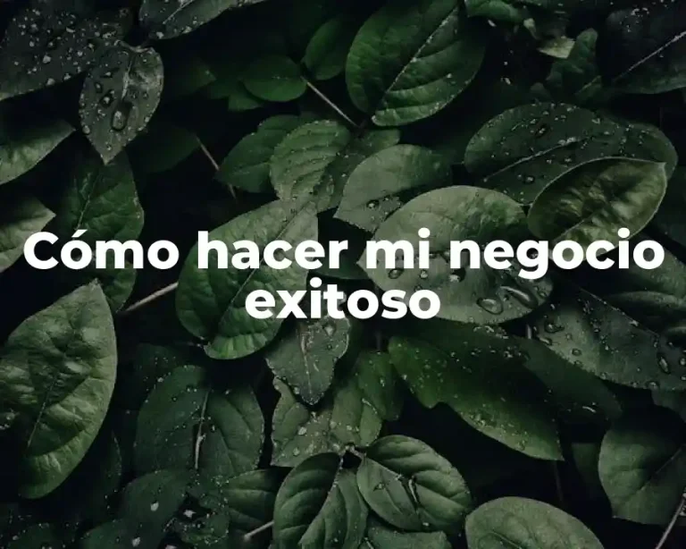 Cómo hacer mi negocio exitoso