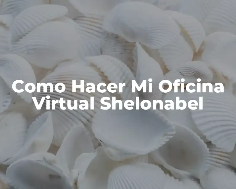 Como Hacer Mi Oficina Virtual Shelonabel