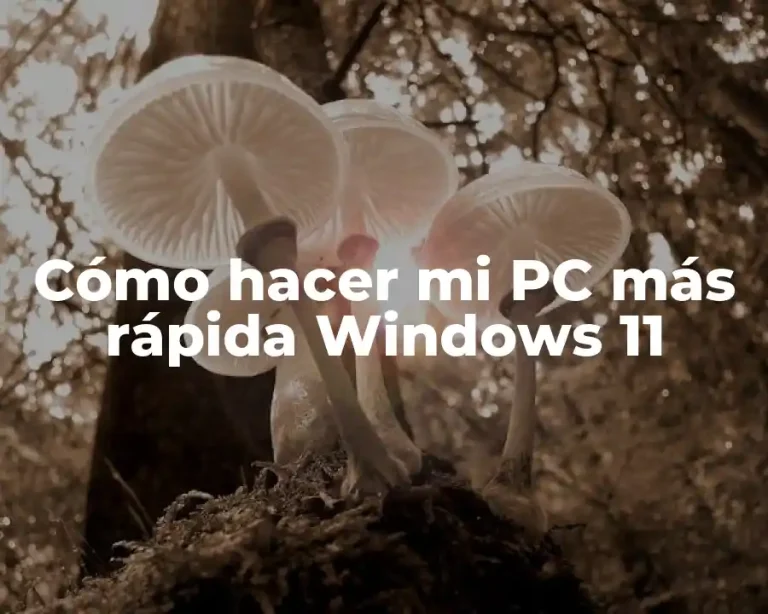 Cómo hacer mi PC más rápida Windows 11