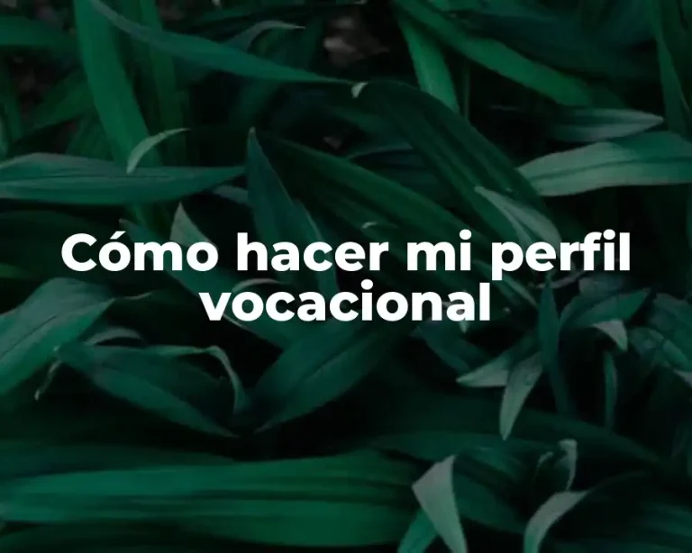 Cómo hacer mi perfil vocacional