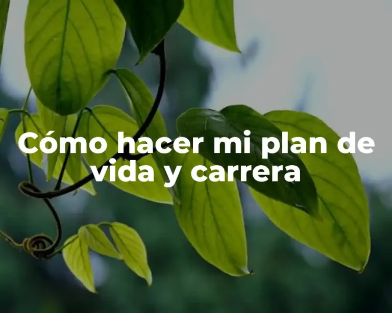 Cómo hacer mi plan de vida y carrera