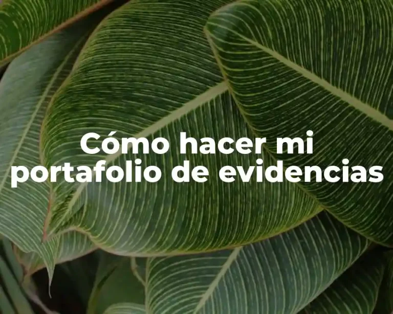 Cómo hacer mi portafolio de evidencias